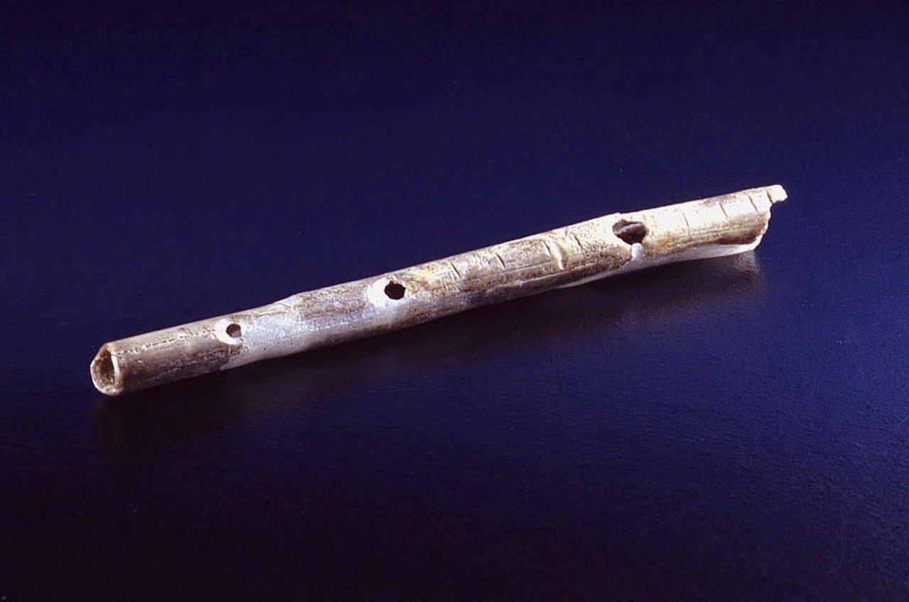 Kostěná flétna